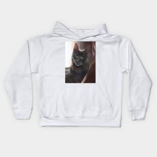 Mystic Mage Cat: Freya Kids Hoodie